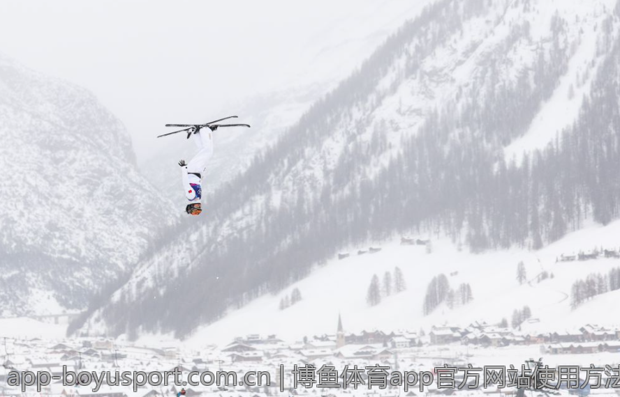 博鱼体育app官方网站使用方法与注意事项汇总